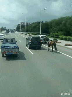 时尚炫点 假如你有一个复活的名额，你会选择让谁回来呢！