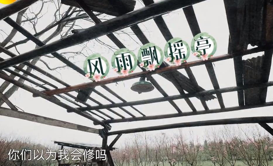 何炅|《向往的生活5》：蘑菇屋条件艰苦？何炅无心之言，扯下遮羞布