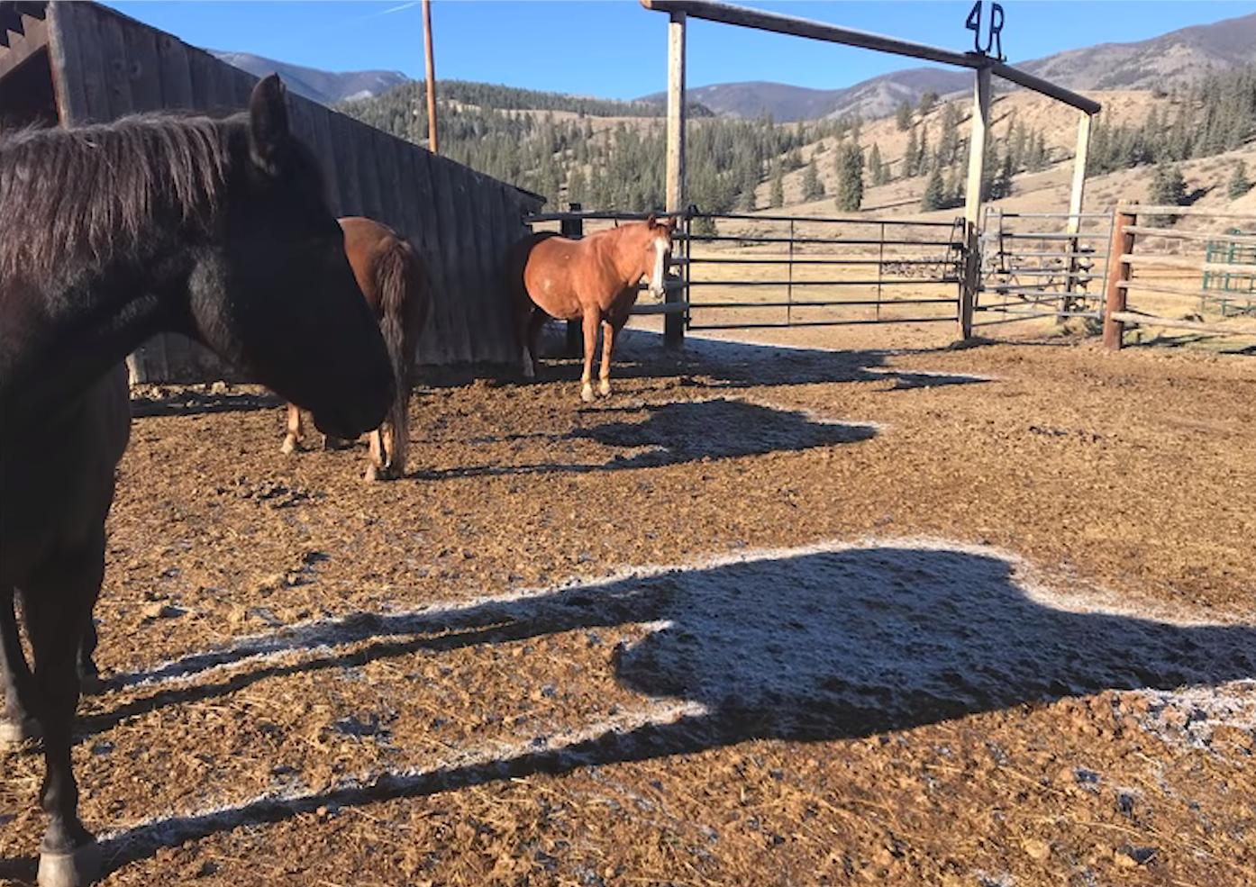  25张罕见的照片，证明世界充满了奇迹