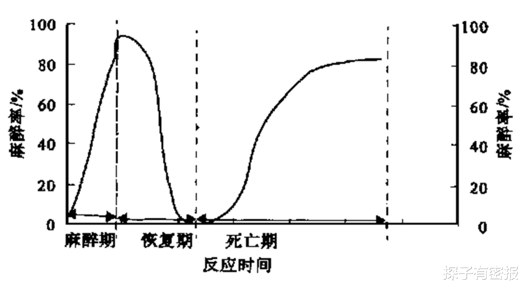 从科学层面分析,鬼火到底是什么呢?为何现在很少见了?