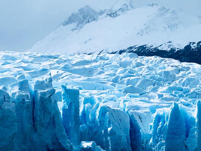 恐龙 2.3亿年前，地球持续下了100万年的雨，最终把恐龙送上王之宝座