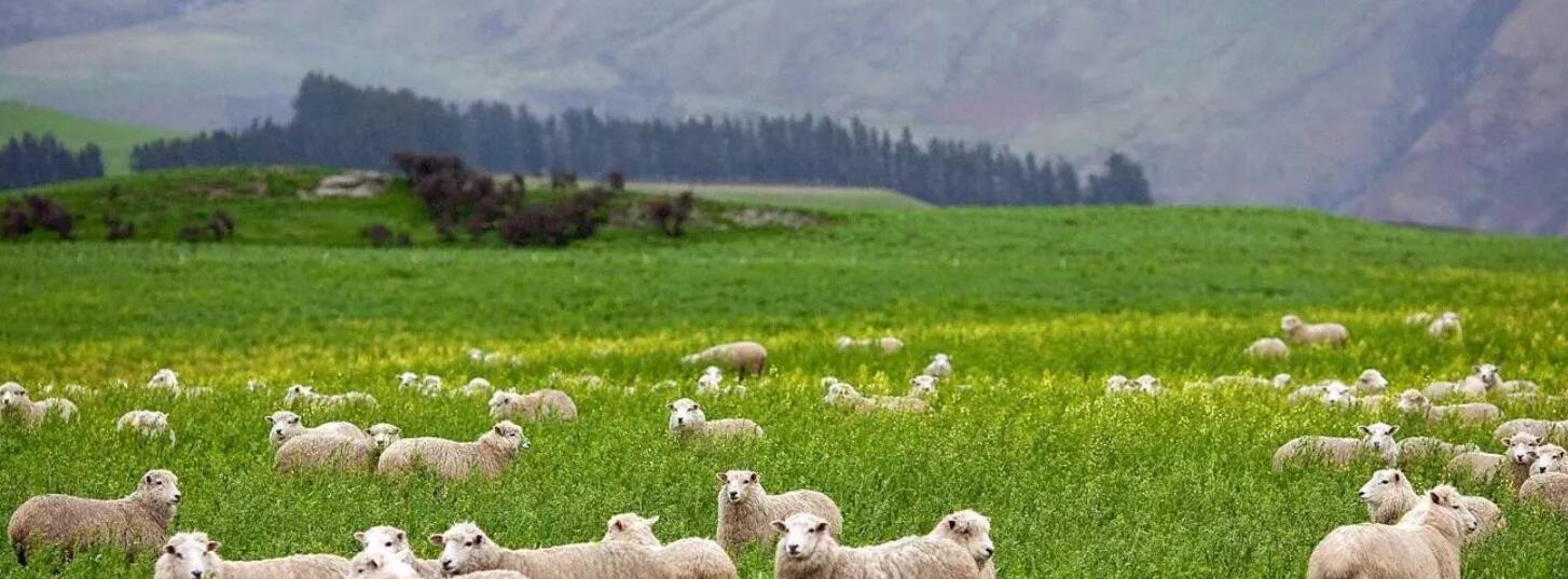 银河系 若地球未来10年停止降雨,对人类有影响吗?会发生什么事?
