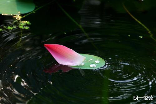 属牛|40岁以后：去做有结果的事，去交说到做到的人