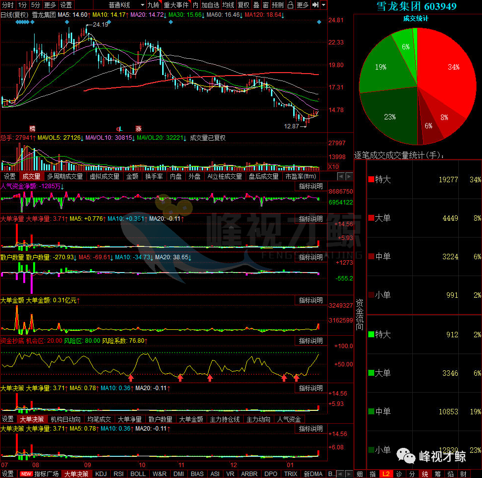 科恒股份 1月21日主力最青睐的10只股票