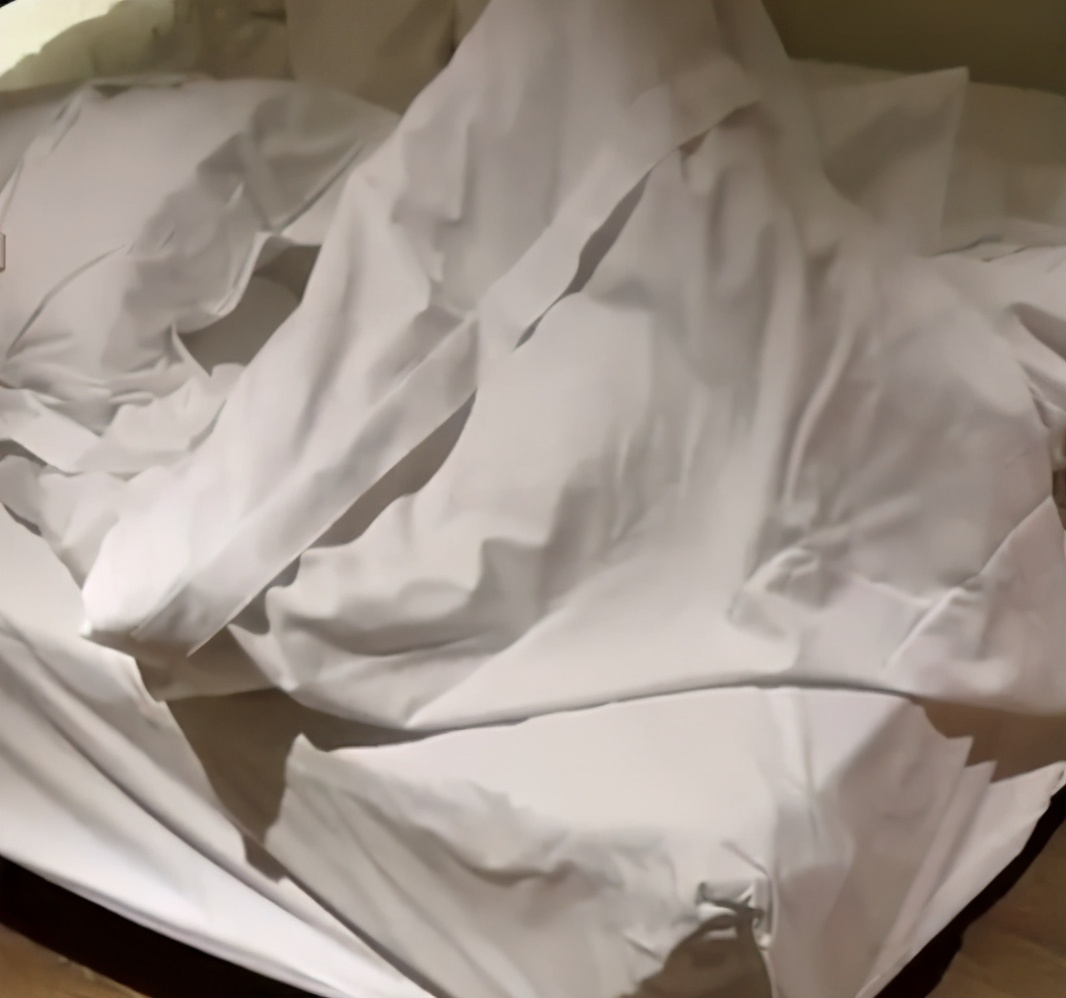 社會偵探員 女子住酒店發(fā)現(xiàn)床上都是蟲子，欲退房被拒，店家：別家還沒我家好