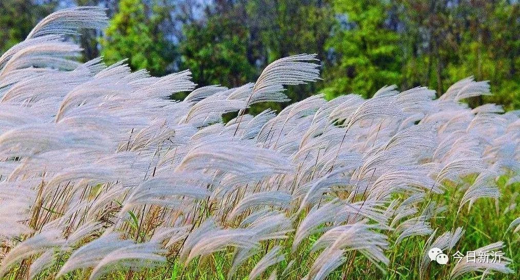 徐州 全省公示！徐州入选无限定……