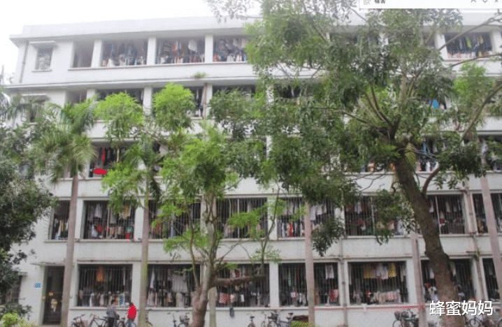 蜂蜜妈妈|大学寝室被曝光,最好的宿舍vs最差的宿舍,差距太明显