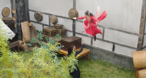 任嘉伦|鞠婧祎又被嘲了