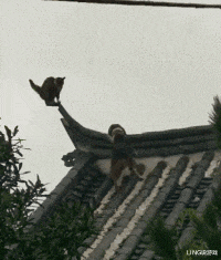 教师|“陪表嫂来买车,画面也太养眼了!