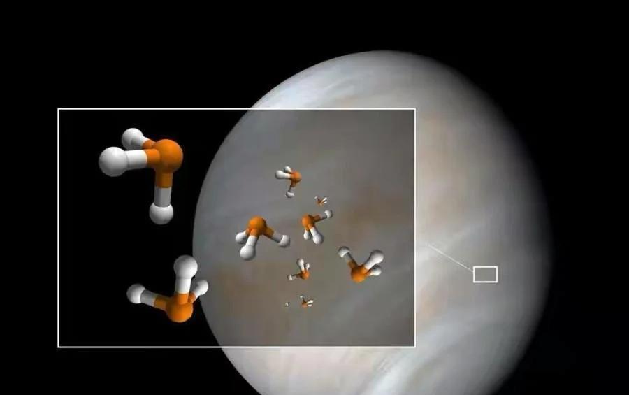 金星上出现此物质,科学家:“金星生物”可能真实存在!