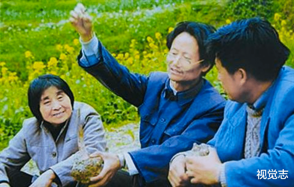 被打的老教授,吃饱的中国人。