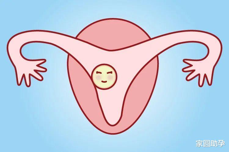 家圆助孕|初步认识试管婴儿,这一篇文章就够了~