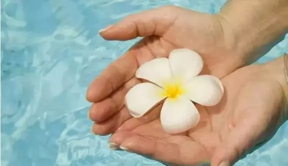 医生|癌症晚期，医生说活不过3个月，我为何现在依然健康？