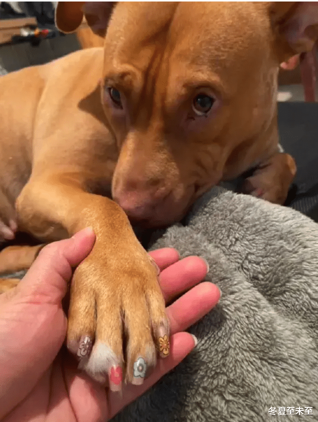 “这个女的一见面就问我要68万的彩礼,怎么办?”