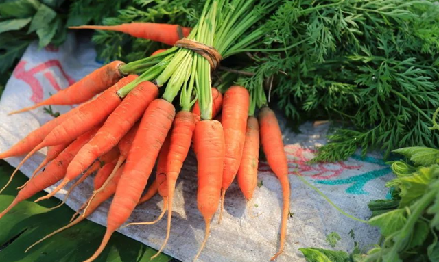 咖啡因|胡萝卜是“养肝冠军”？医生：常吃这4种食物，才是真正对肝脏好