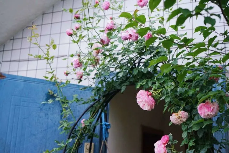 |80㎡露台“造花园”，生活在自己打造的花园里，每天都像在度假