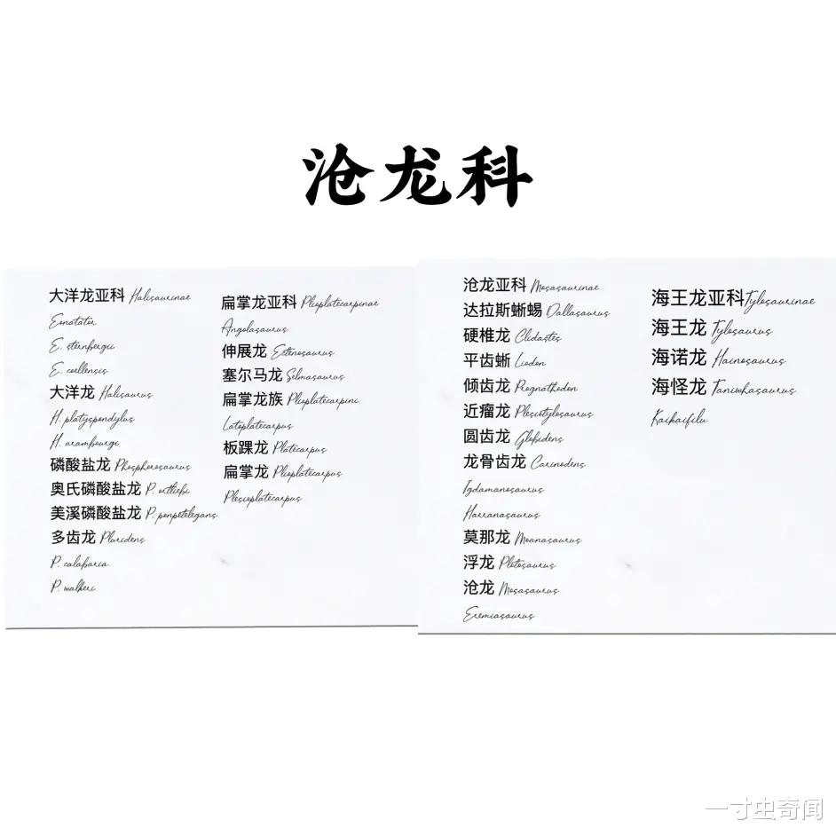 沧龙从何而来?作为白垩纪晚期的海洋霸主,它还有哪些秘密?
