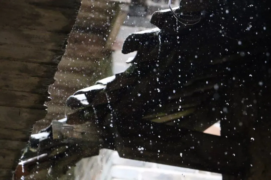 占星运势知晓 癸水生巳月胎地的搭配