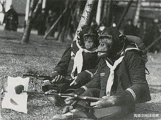 二戰末期，日本屠殺全國動物園，隻有兩頭大象在名古屋被偷偷保住-圖4