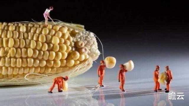 如果地球上除了人类,所有的生物扩大 100 倍体积,会发生什么?