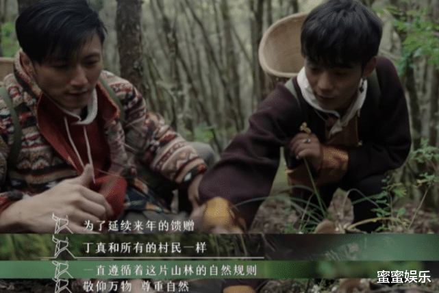 松茸|丁真的家大弟弟出镜，8岁进山挖松茸，谢霆锋：一年收入全靠它？