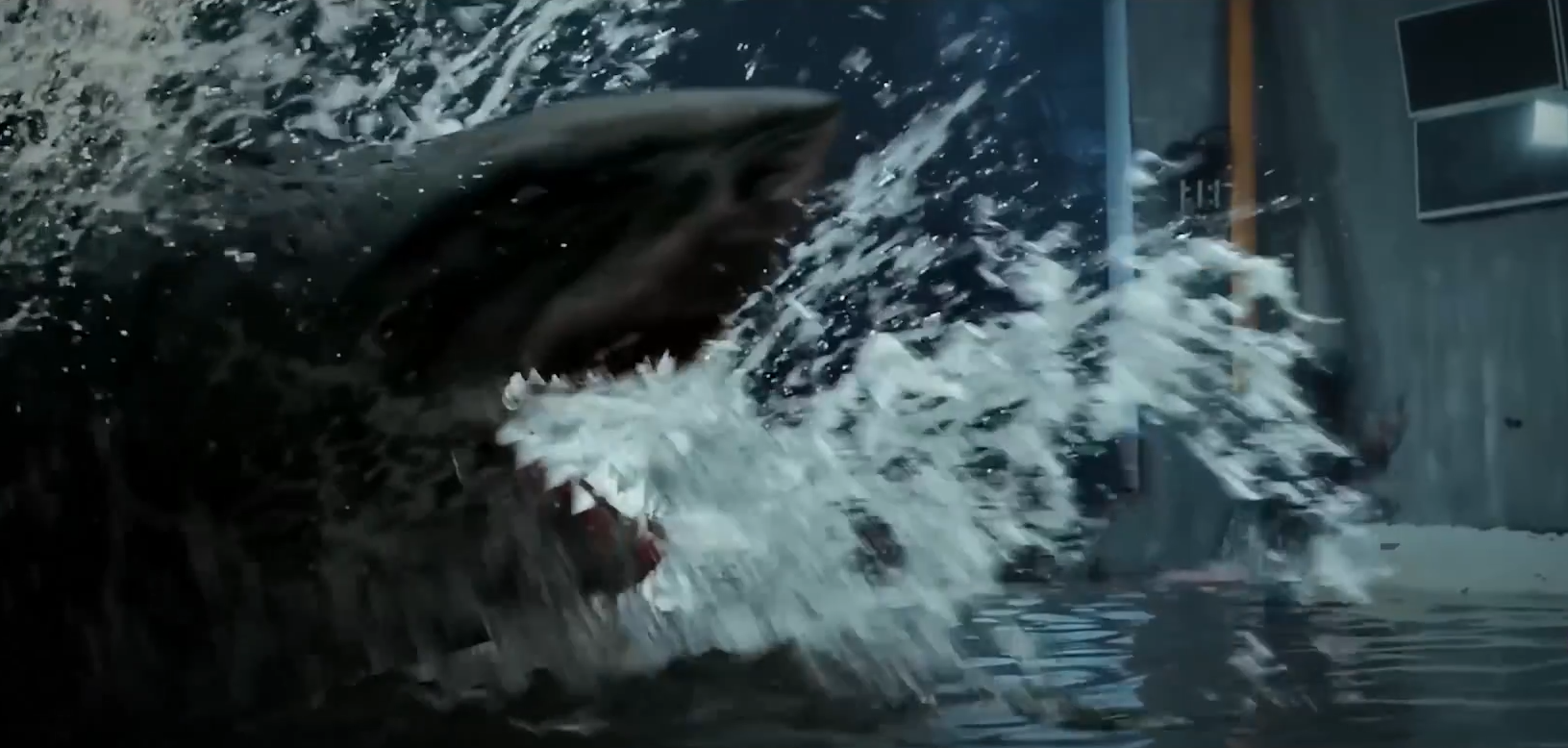 鲨鱼 蚯蚓和鲨鱼的基因结合在一起, 你猜会发生什么？