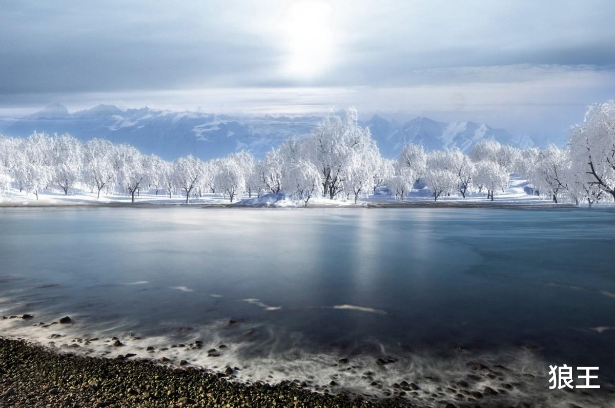 狼王|女子轰走了想鸠占鹊巢的小叔子一家,还是做恶人自己心里痛快!