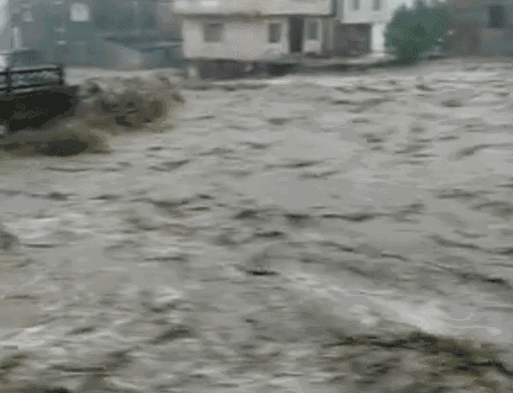 全能辣妈plus|暴雨频发，让娃掌握这一招“溺水自救”，危急时刻能保命