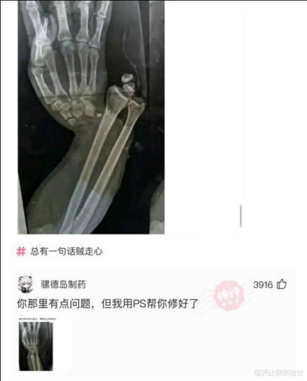 神回复|神回复：一觉睡醒发现自己是一线明星，你会先做什么？神评绝了