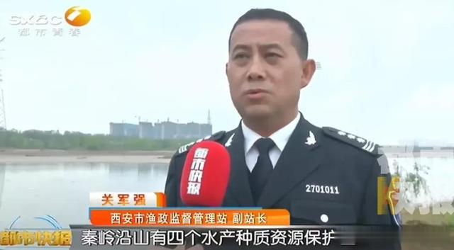 西安|西安进入这个时期！这事被禁止了，周知