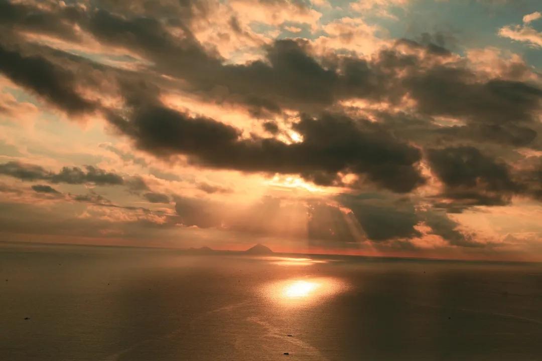 双汇发展 领悟交易中的取舍