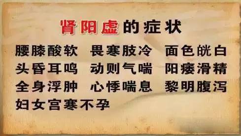 专注现代人养生解说|阳虚体质，多吃点养阳、补阳食物