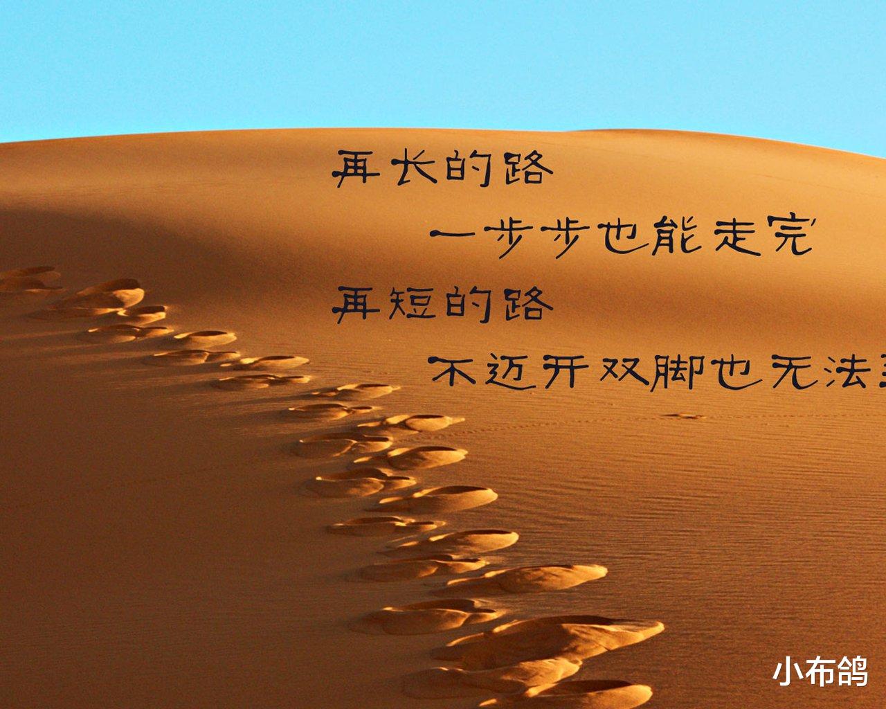 小布鸽|给曾经的老板一封信：离职，是我们迫不得已的选择
