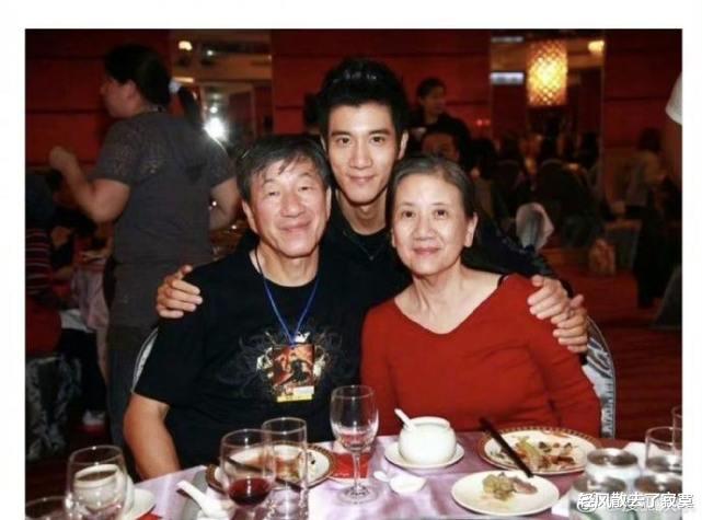 王力宏|王力宏父亲，王大中回应儿子事件