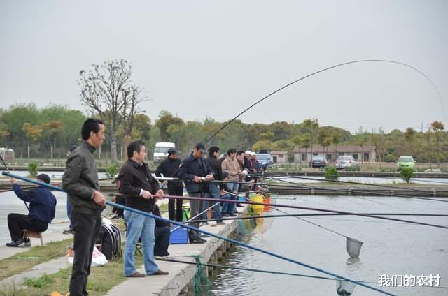 池塘|男人过了30岁，为啥喜欢钓鱼？看完你就明白了