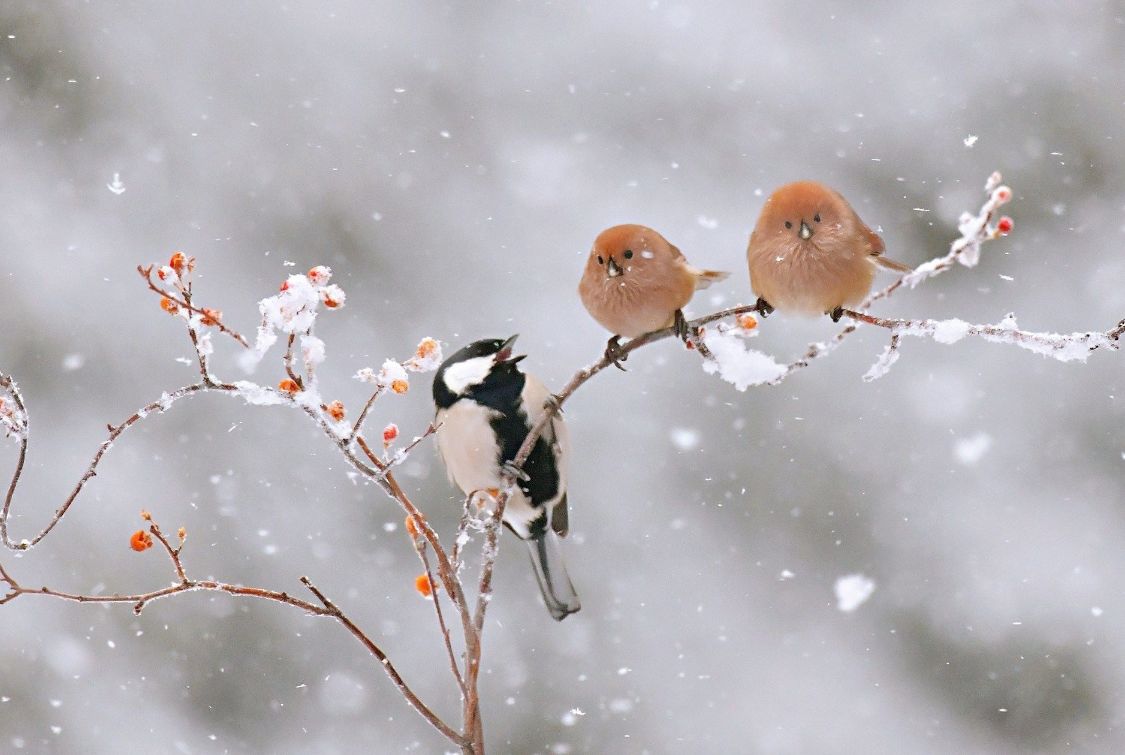 |一到冬天,双脚就异常寒冷?提示:这种现象或与3个因素有关