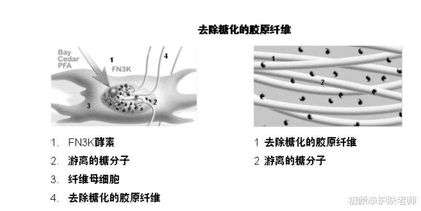 护肤 皮肤需要“抗糖化”，是伪概念还是真护肤？