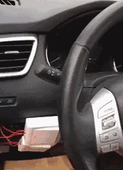 萌萌萌说|“刚钓了几条鱼，打算打个牙祭！”感觉评论区不妙啊！哈哈哈