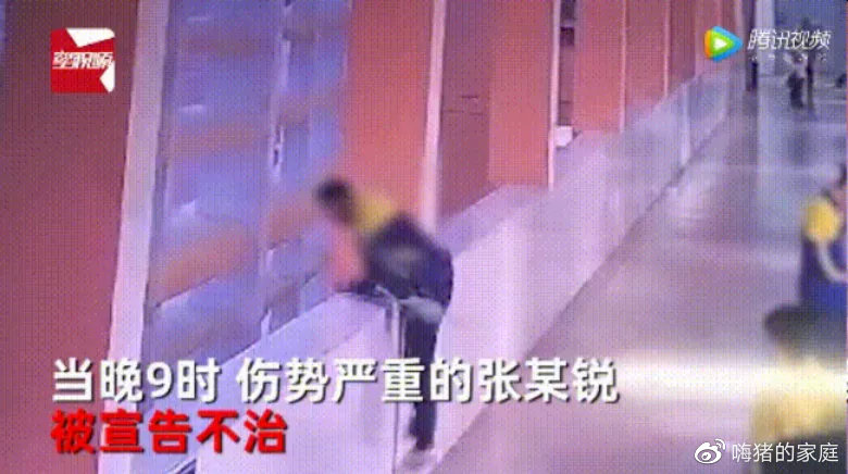 女孩 上海14岁女孩跳楼自杀，1500字遗书曝光：“若有来生，我们不要再见面了”