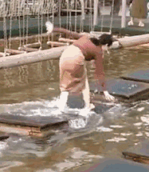 动物庄园|“女友闺蜜喊我单独去唱歌,穿成这样我沦陷了...”