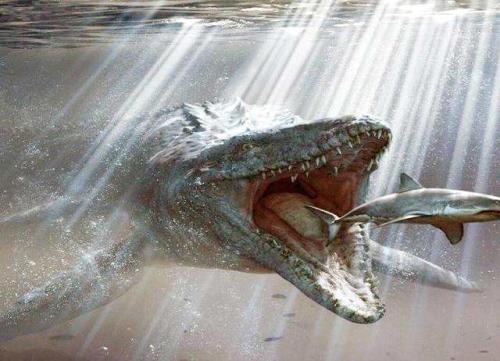 巨蟒 远古海洋中5种恐怖巨兽，超出你的想象！