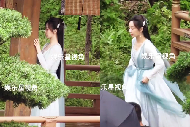 甘愿|沉香如屑：少女莲池化成人形，帝君甘愿放弃仙道，却握紧了冷剑