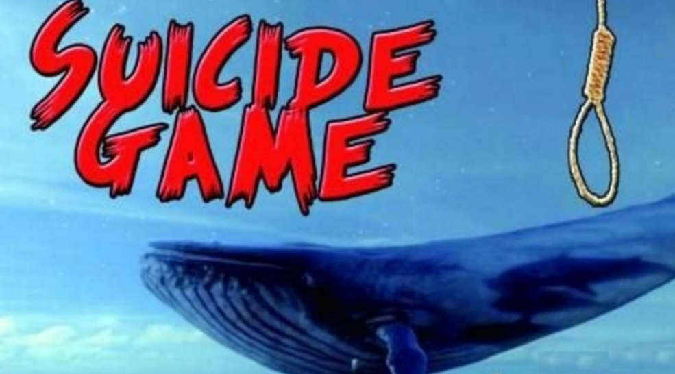 兜妈爱叨叨|还记得恶名昭彰的蓝鲸游戏吗？家长听后很害怕，青春期孩子易上瘾