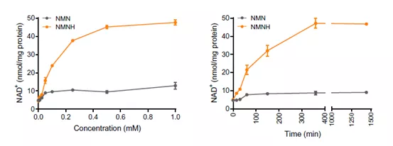 核苷酸 NMNH问世，辅酶前沿技术再刷新！