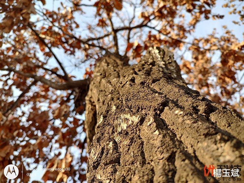 苹果|最强LCD屏旗舰机 摩托罗拉 edge S30优科技全面评测