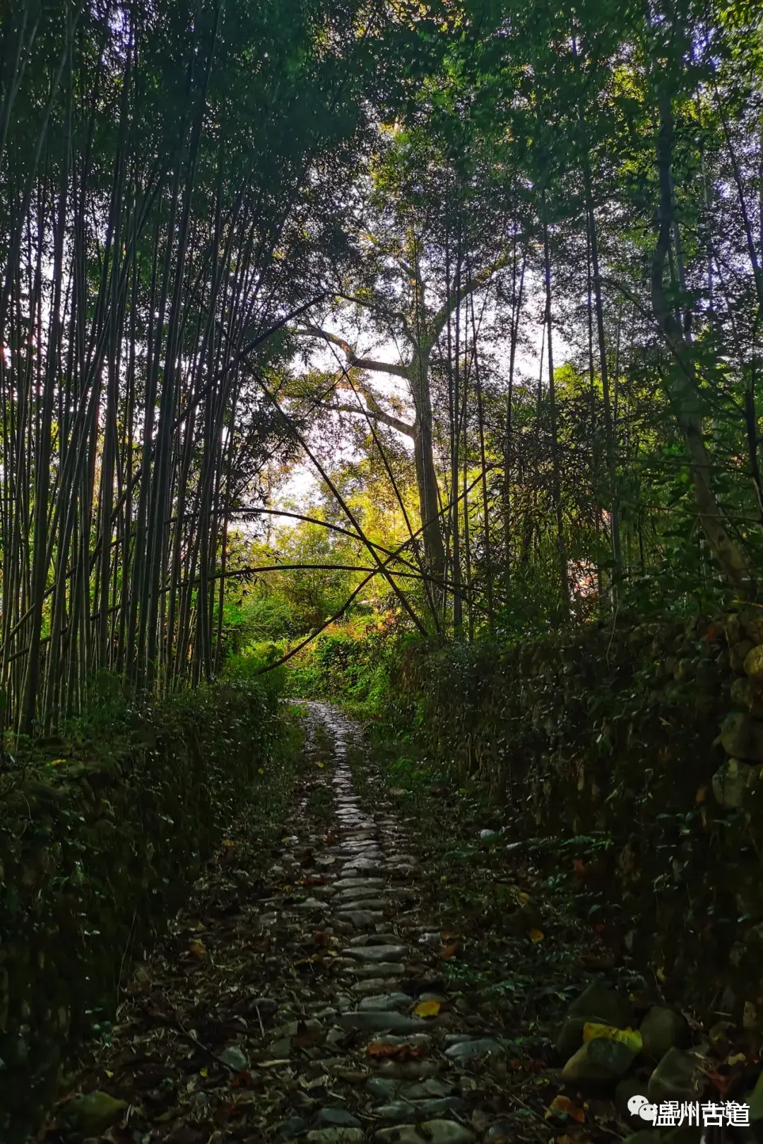 |温州这一个被遗忘的宋代古村，现实版的“绿野仙踪”等你来探秘！