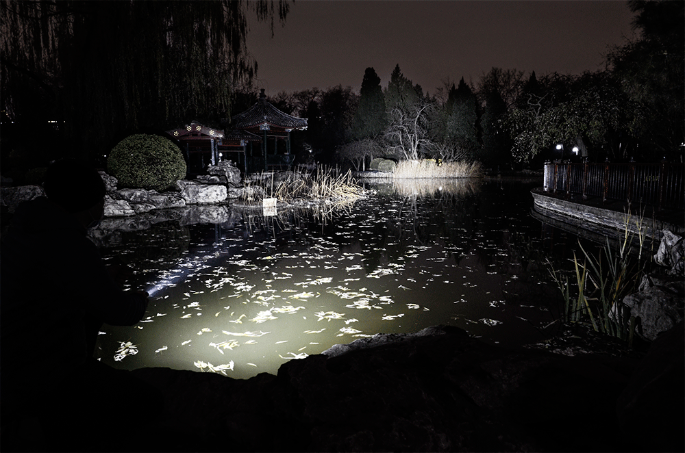 電池|彩裝硬漢、性能強悍：傲雷武士3戰術手電