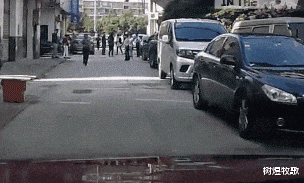 太阳系 “人类能通过匕首在蟒蛇的肚子里自救吗？”评论满脸不屑