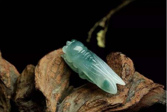 昆虫|埋藏17年后，数亿只蝉破土而出，美国人为何不怕蝉？