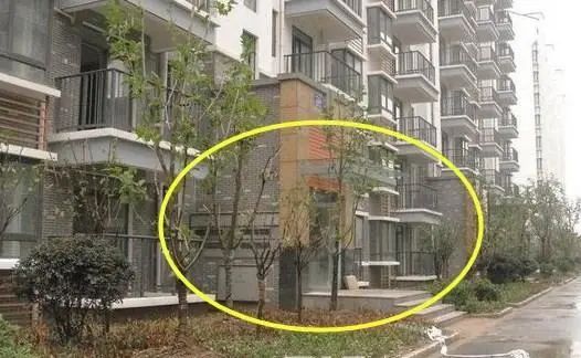 |底楼再便宜也不要买,我家就是个教训,处处都是坑!